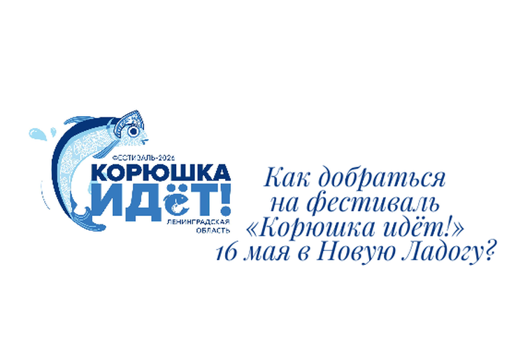 Как добраться на фестиваль «Корюшка идёт!» 16 мая в Новую Ладогу?